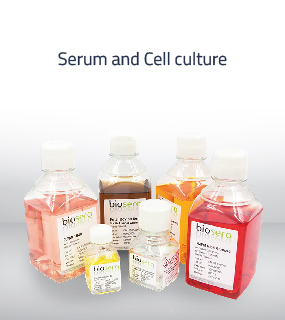 AGBL Sub Sahara offers Animal serum, albumin, salt buffers and antibiotics for tissue culture lab, vaccine production, and basic cell biology research labs.